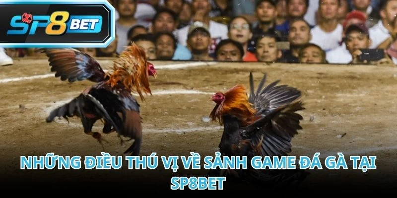 Đá gà phục vụ nhu cầu theo dõi trận đấu thực tế thông qua phát sóng trực tiếp